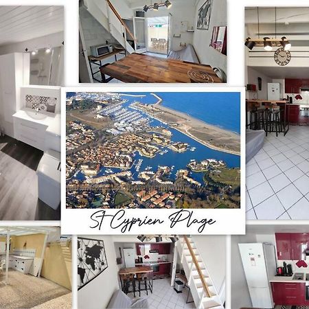 Joli T2 Avec Clim, 4/6 Personnes,500M De La Plage. Saint-Cyprien  Exterior foto